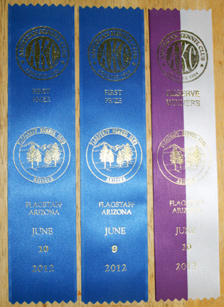 O'Riley's first ribbons